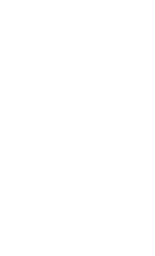 lightning bolt